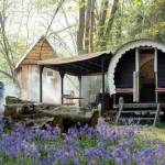 image showing stunning shepherds hut in bluebell laced woodland