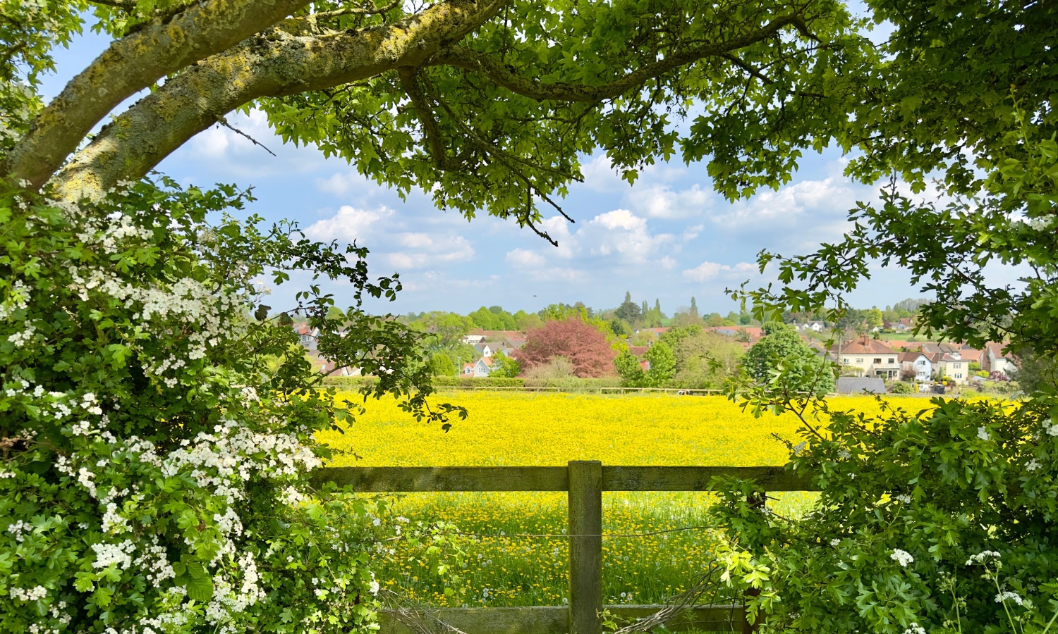 Rural edge‑of‑village landscape with open fields in the foreground and village buildings beyond.
